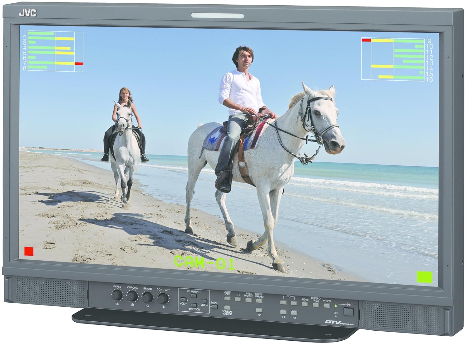 JVC Professional DT-E21L4U 21-Inch Multi-Format LCD Monitor (LED Backlit)