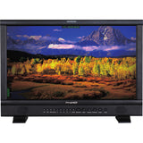 JVC Professional DT-N17F ProHD 17.3-Inch Broadcast Studio LCD Monitor