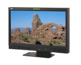 JVC Professional DT-V17G2Z 16.5-Inch Broadcast Field/Studio Monitor