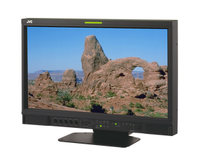 JVC Professional DT-V21G2Z 21.5-Inch Broadcast Field/Studio Monitor