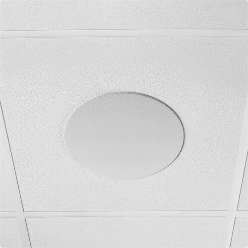 Shure MXN5W-C Networked Ceiling Speaker with Dante (White)