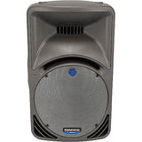 Mackie C300z 12" 2-way Compact Passive SR Loudspeaker