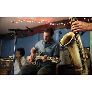 Shure PGA98H-TQG Clip-On Cardioid Condenser Horn Mic with TA4F