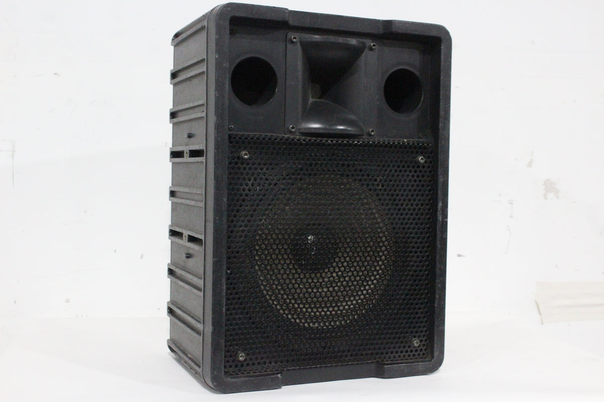 Panasonic Ramsa WS-A200 Compact High Power Subwoofer Speaker