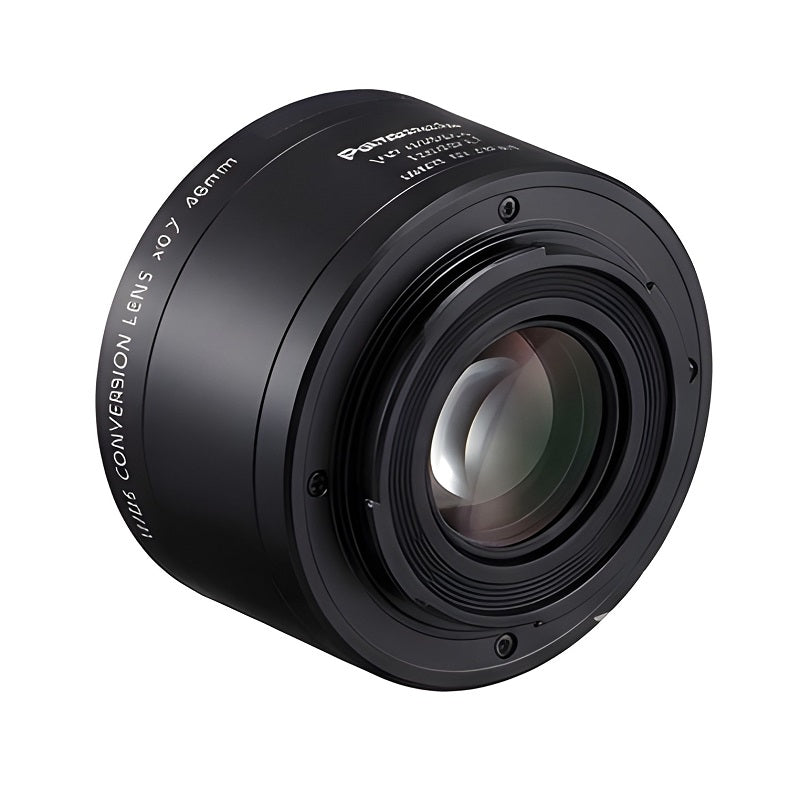 Panasonic VW-W4607H Wide Conversion Lens