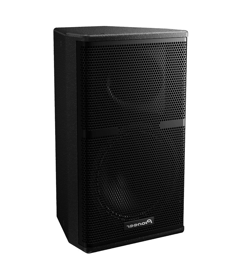 Pioneer XY-101 10" Two-Way Loudspeaker