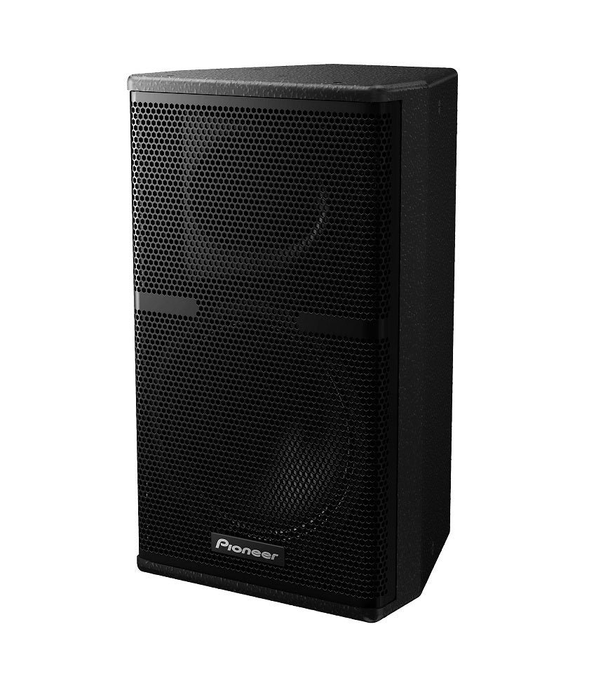 Pioneer XY-101 10" Two-Way Loudspeaker