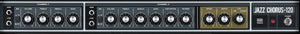 Roland JC-120 Jazz Chorus 2 x 12-inch 120-Watt Stereo