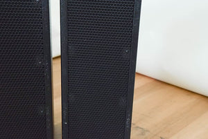 SLS FF2605 2 x 6.5" Front Fill Loudspeaker