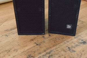 SLS FF2605 2 x 6.5" Front Fill Loudspeaker
