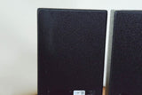 SLS FF2605 2 x 6.5" Front Fill Loudspeaker