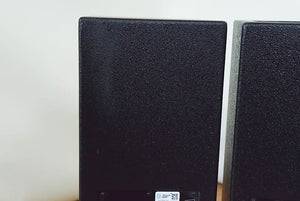 SLS FF2605 2 x 6.5" Front Fill Loudspeaker