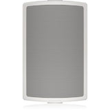Tannoy AMS 6DC-WH 6" Dual Concentric Surface-Mount Loudspeaker for Installation Applications (White)
