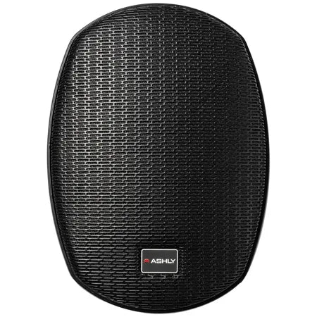 (NEW) Ashly AW5.2TPLUS-U 5in Passive 2-Way All-Weather Speaker