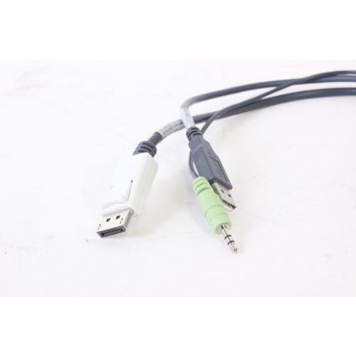 adder-catx-dp-usba-computer-access-module-catx-usb-cam cable1