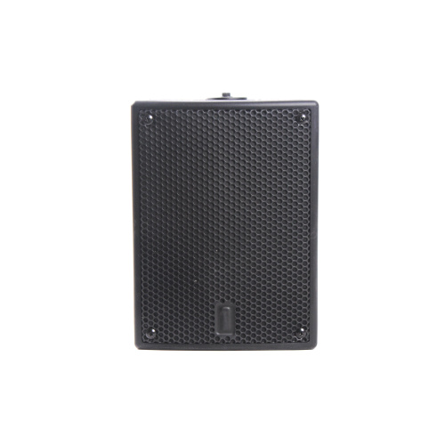 One Systems 103IM Direct Weather High Performance Loudspeaker front